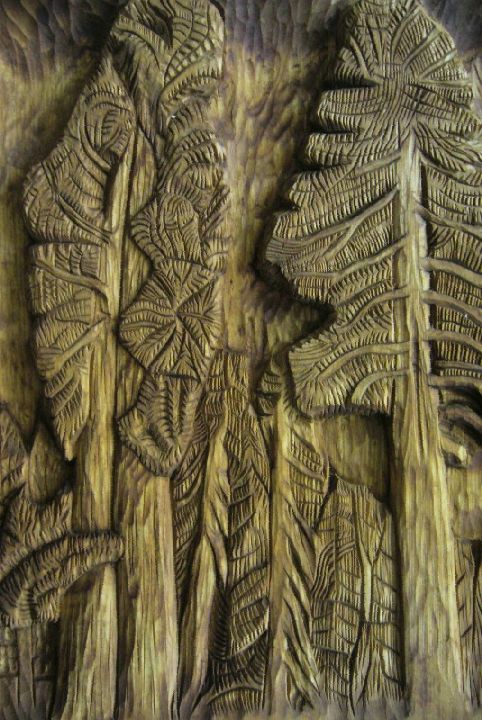 Sequoia semperviresns